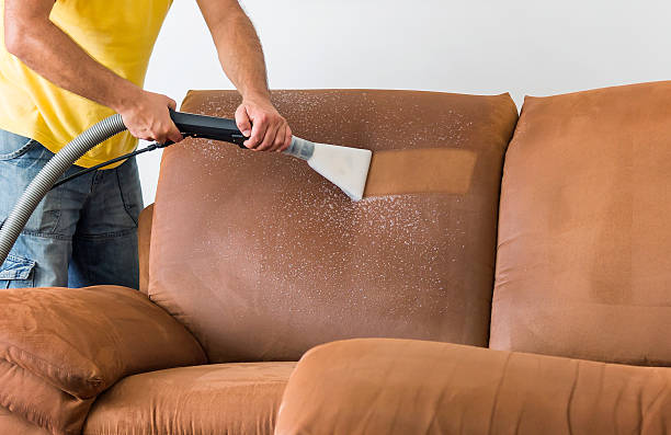 sofa shampooing